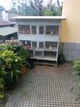 Casa de pássaros