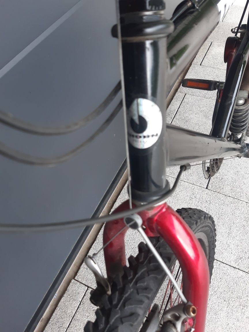 Rower THORN Poland mtb