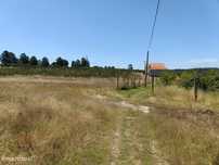 Quinta  Venda em Santa Marinha e São Martinho,Seia