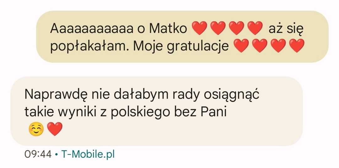 Nauczyciel  polskiego przygotowujący  do poprawek , online i w domu .