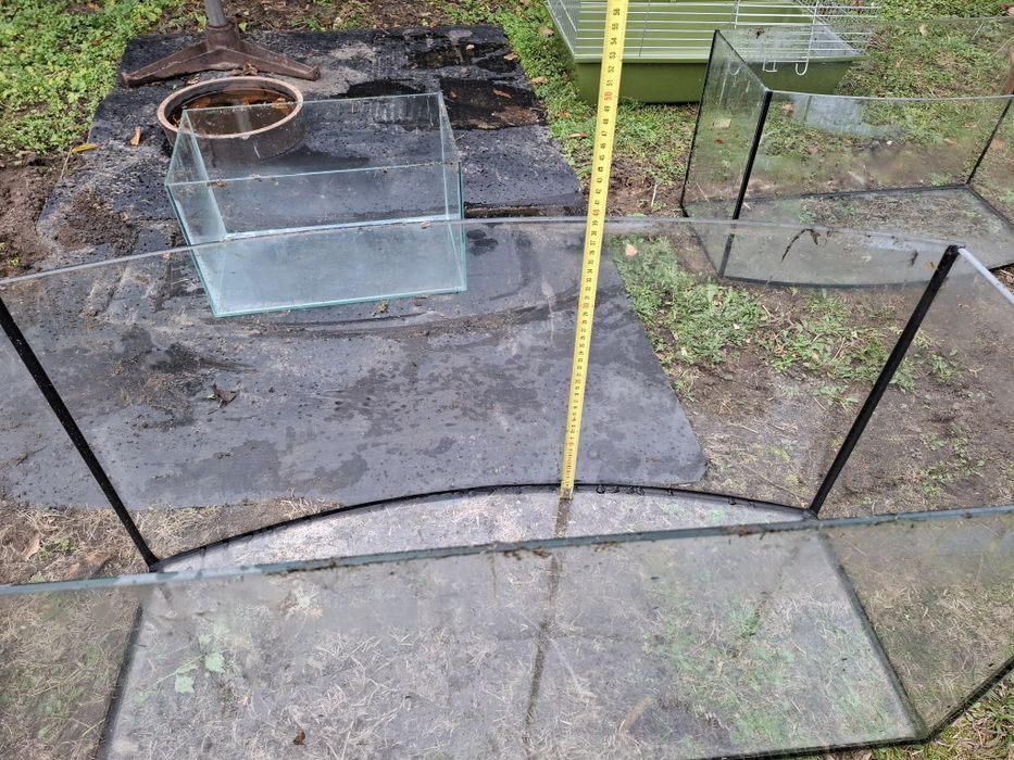 Akwarium panaromiczne