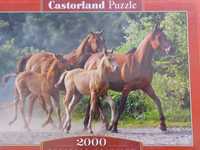 Puzzle Castorland Konie Arabskie 2000 el