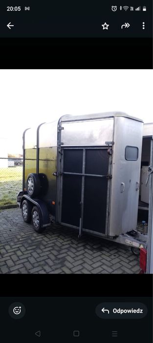 Przyczepa do przewozu koni - IFOR WILLIAMS TRAILERS HB505R1
