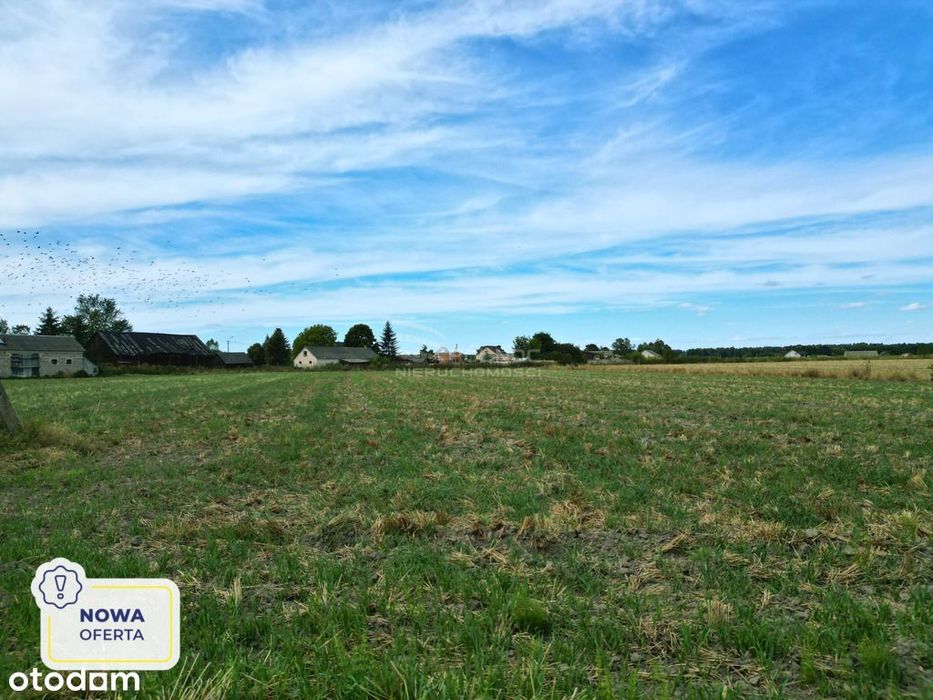 Działka gotowa pod zabudowę Turów k. Kąkolewnicy