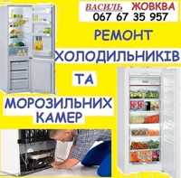 Квасоля продам Жовква