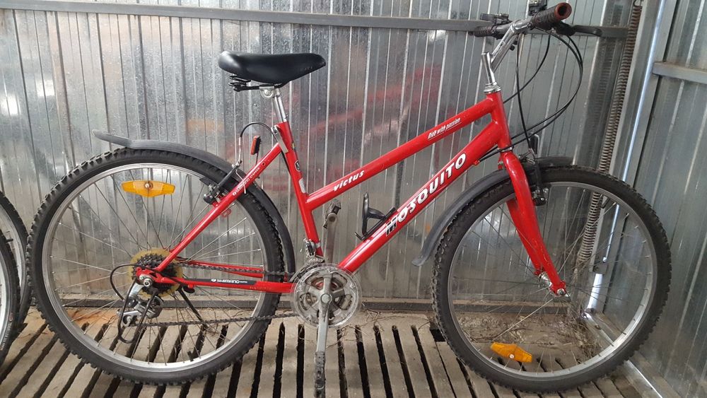 Rower damka victus mosquito