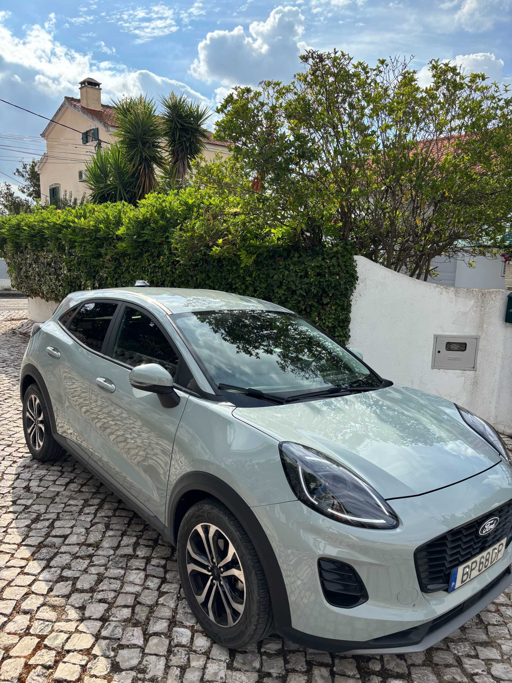 Ford Puma Titanium - Cactus Gray
