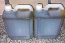 Azeite caseiro de boa qualidade garrafão de 5 litros 20€