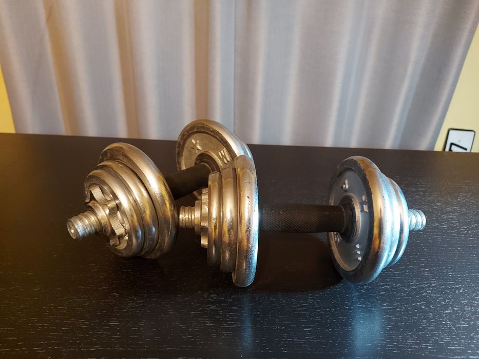 Conjunto de halteres