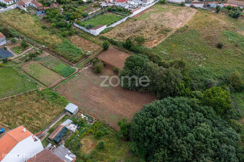 Terreno Urbano, em sobreiro, Albergaria a Velha