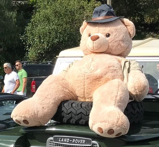 Peluche Urso Ted gigante