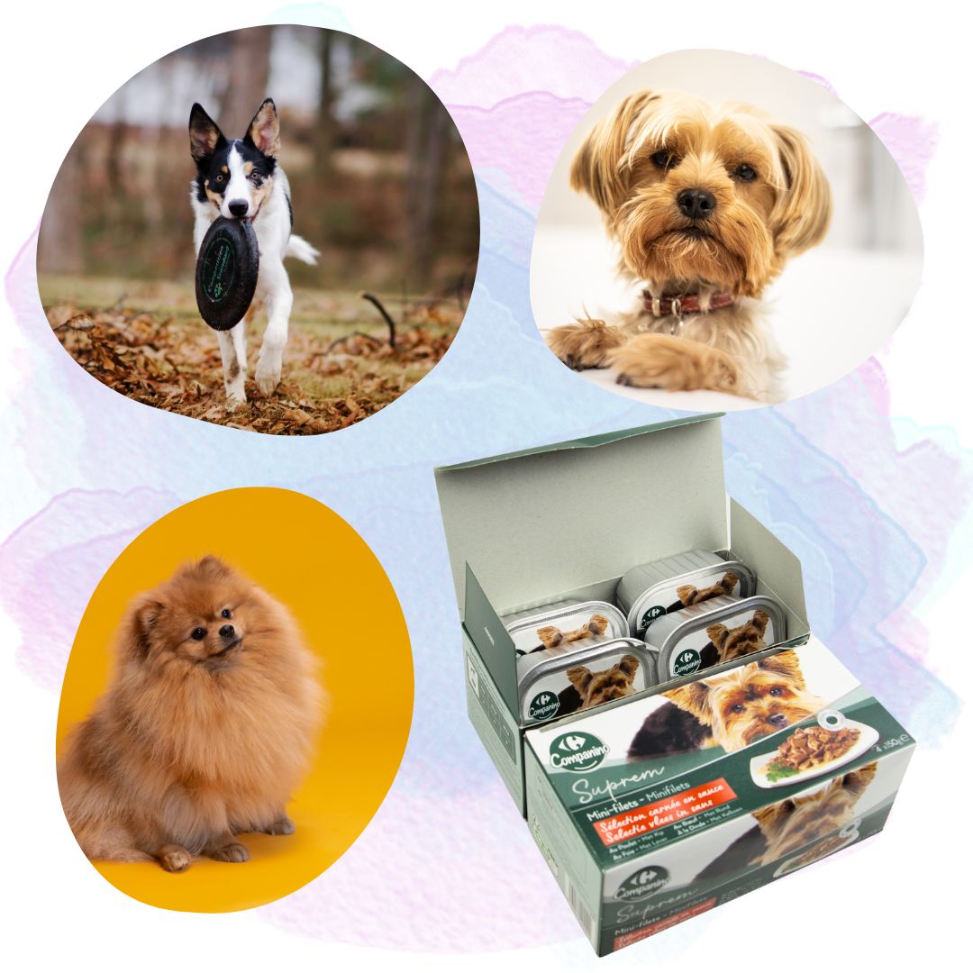 Karma Mokra Companino Mini Filety dla Psów 20x150g Mix Smaków