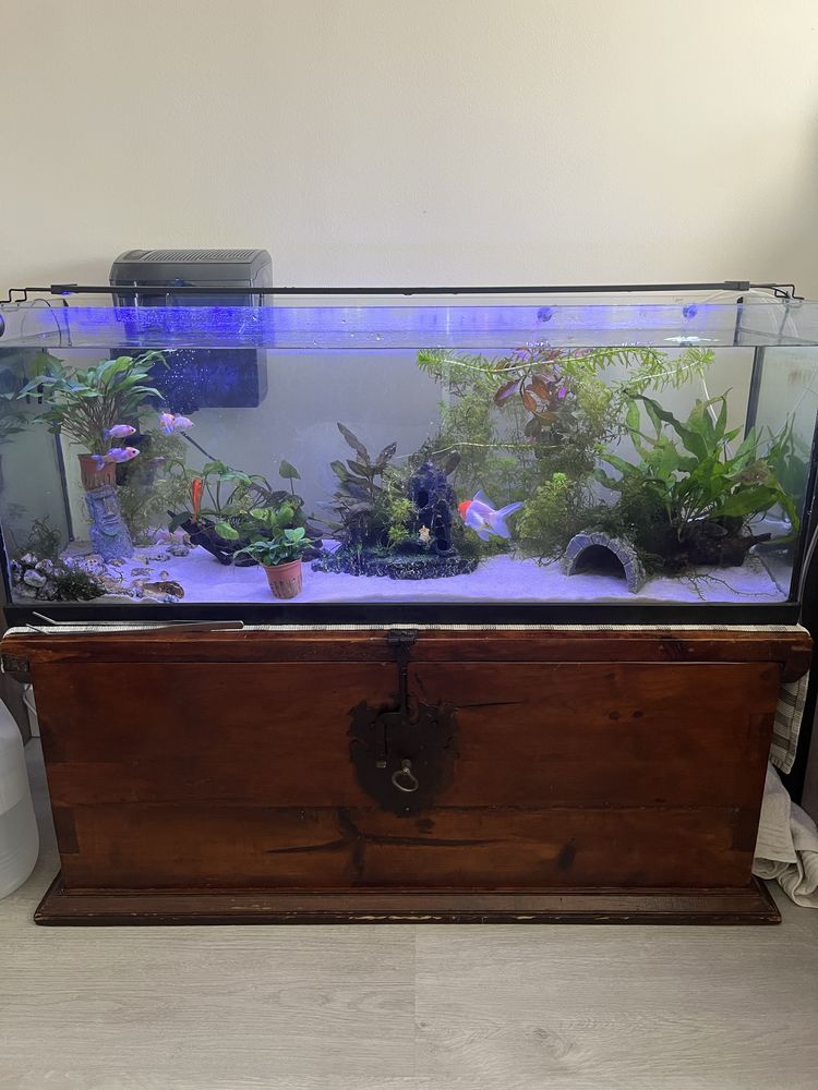 Aquario 100x30x40 usado