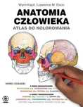 Anatomia człowieka. Atlas do kolorowania Rebis Wynn Kapit, Lawrence M