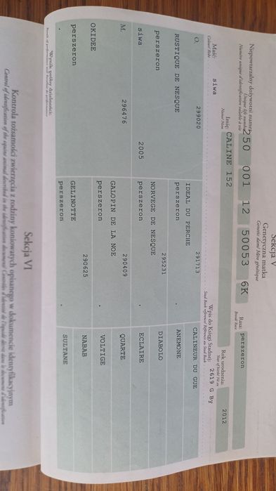 Oferuję do sprzedaży lub zamiany ogiera zimnokrwistego
