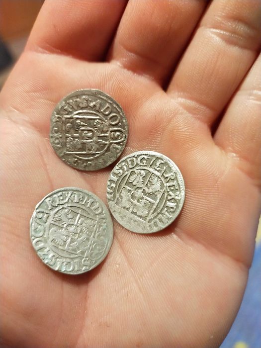 Półtorak Zygmunt III Waza ładny 1621 - 1626 r