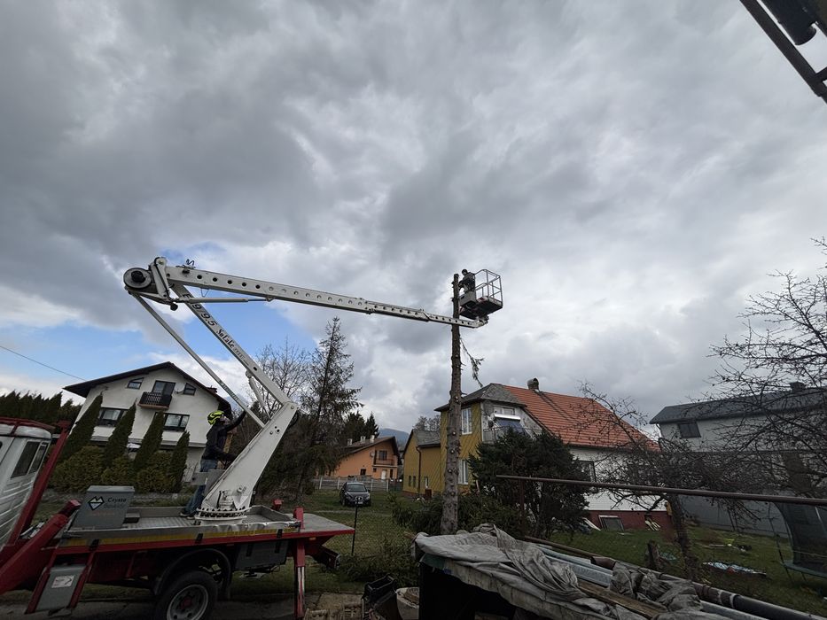 Wycinka drzew wyrywanie korzeni karczowanie działek wywoz pozostalosci