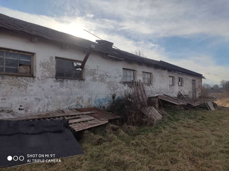 Ферма / Приміщення ферми/ сільсько господарське приміщення