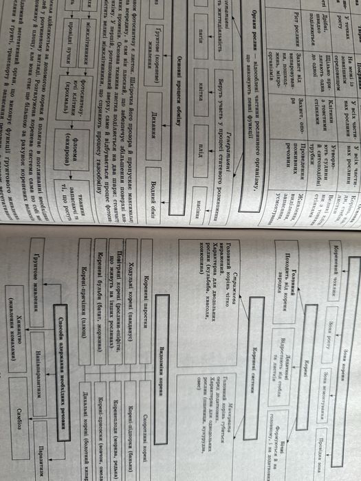 Біологія в таблицях і схемах