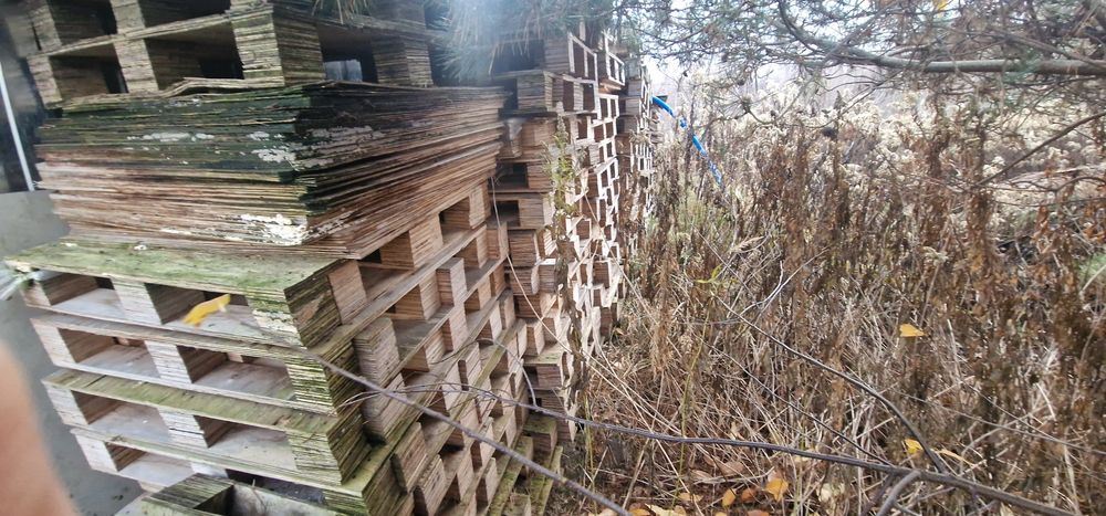 Oddam palety ze sklejki 80x80