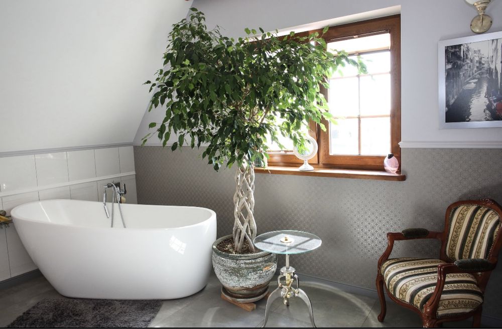 Dom  Przy Lesie Pyszczyn stajnia i staw