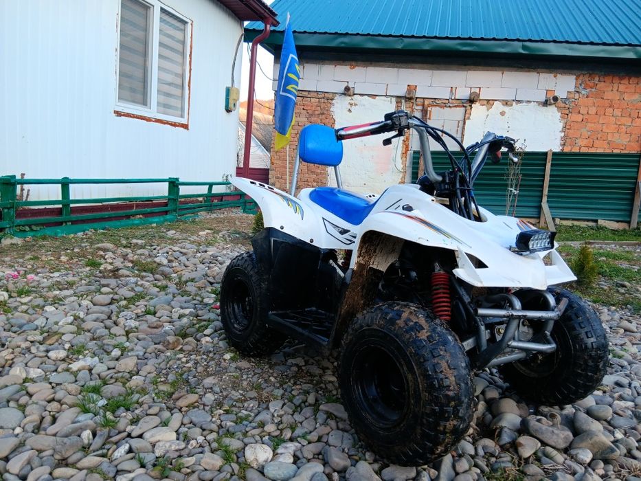 Детьський 50 кубовий квадрик