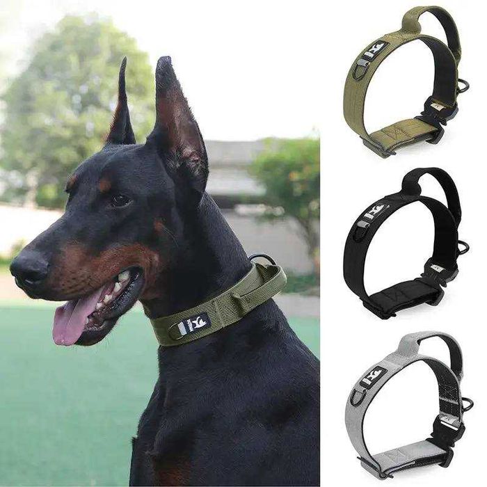 Нашийник для собаки з ручкою, метал. пряжкою, різні розміри та кольори