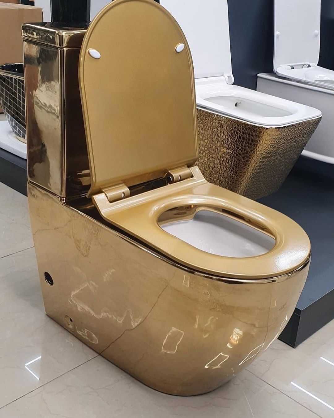 Єксклюзивна модель унітазу