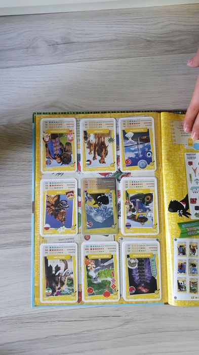 Album kolekcjonerski NETTO