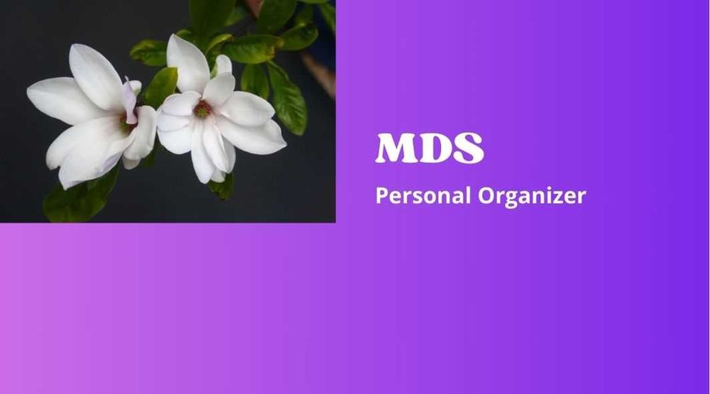 Serviços organização residencial