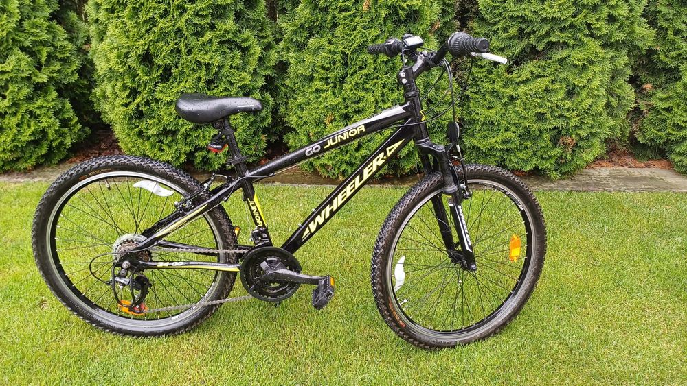 Rower Wheeler Junior go 24 cale