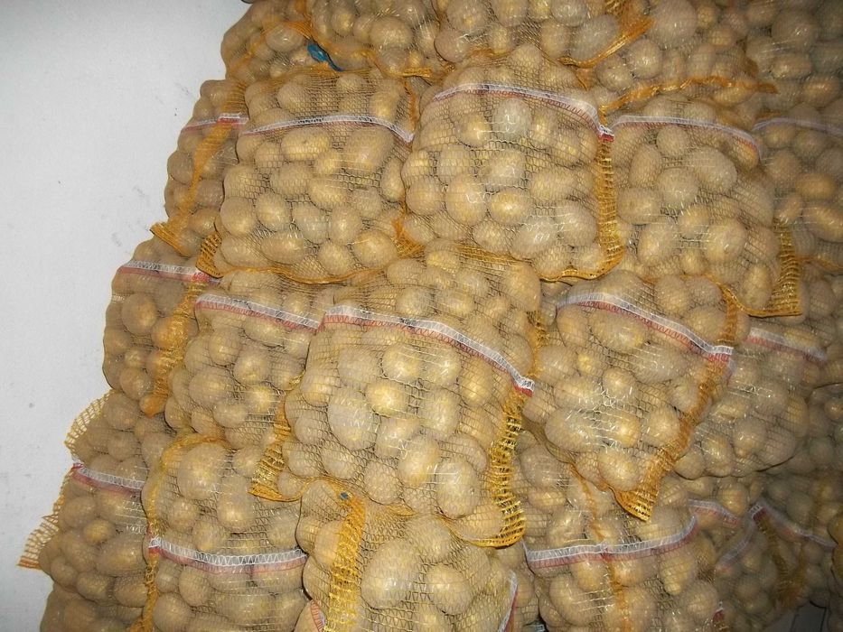 ziemniaki Soraya z dowozem Opolskie