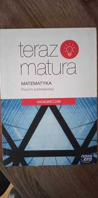 Matematyka vademecum poziom podstawowy TERAZ MATURA