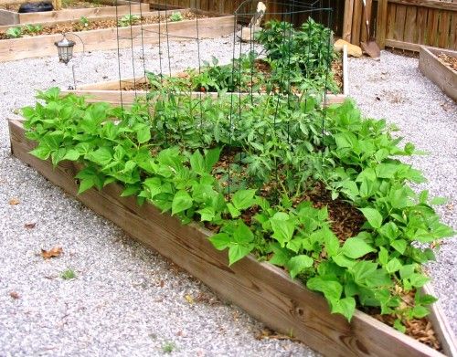 Nawóz naturalny - obornik koński - do ogrodu.