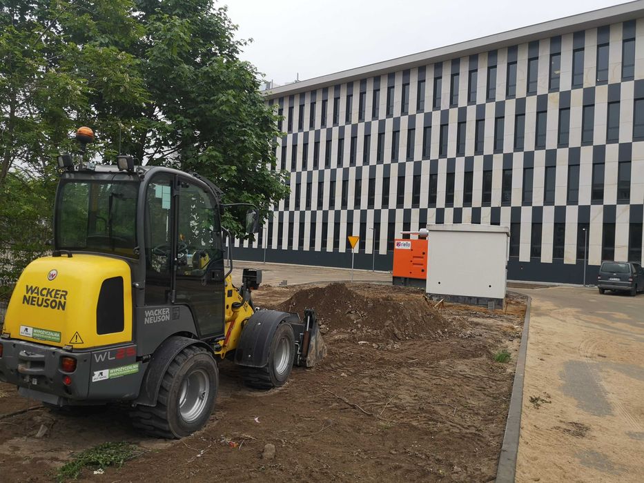 Koszenie zarośli, wycinka drzew, mulczowanie, usuwanie karp