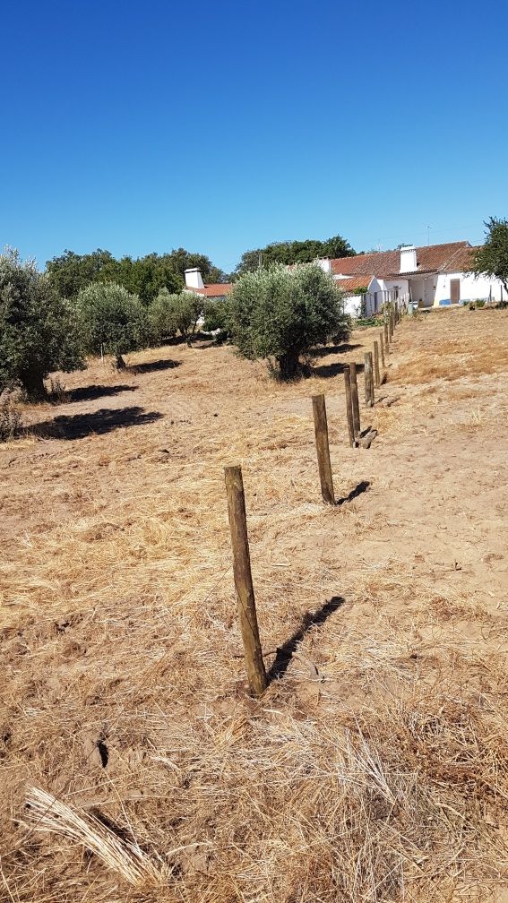 Limpezas de terrenos, vedações e outras prestações de serviço