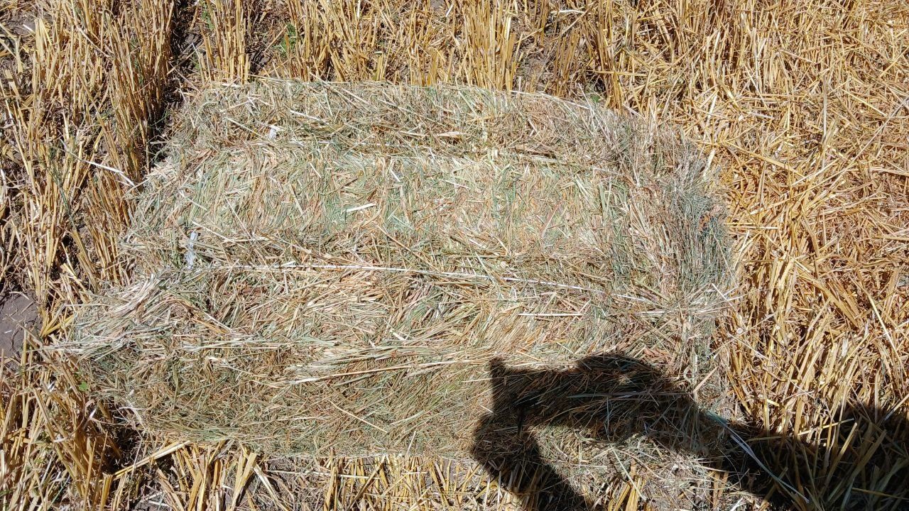Продам Сіно і солома