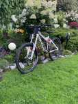 Rower downhill Ctm mons