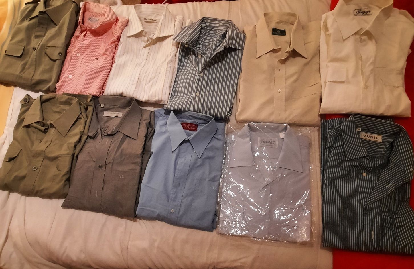 Lote 11 camisas de homem | M-L [40 - 42]