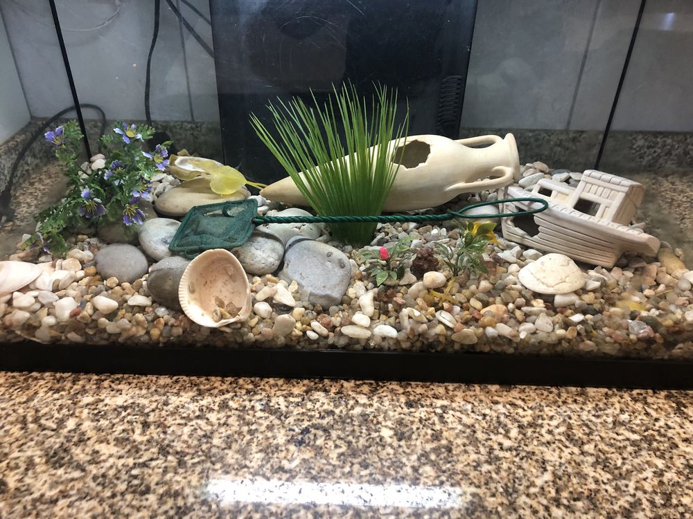 Aquario 60L e decoração