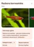 Zamienię rybki akwariowe