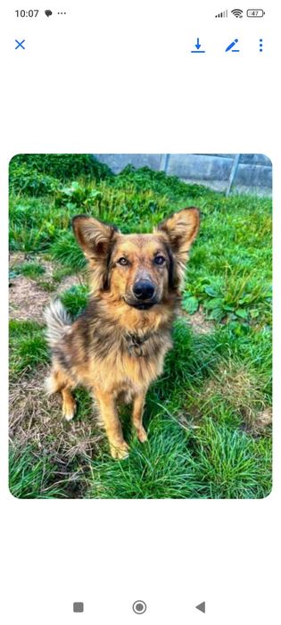 Przytulaśny Wrotuś