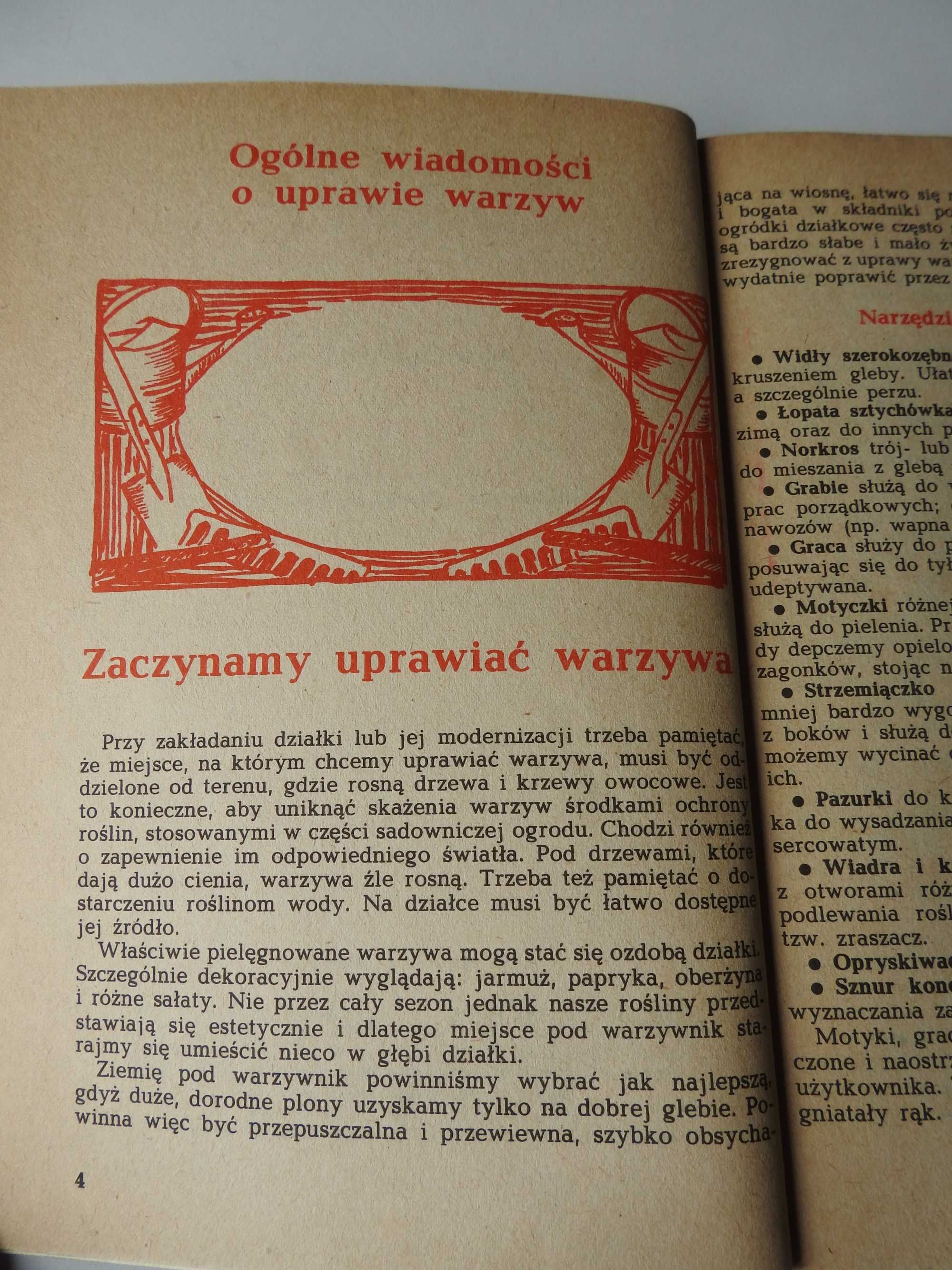 Warzywa na działce i w kuchni - Łucja Zaborska