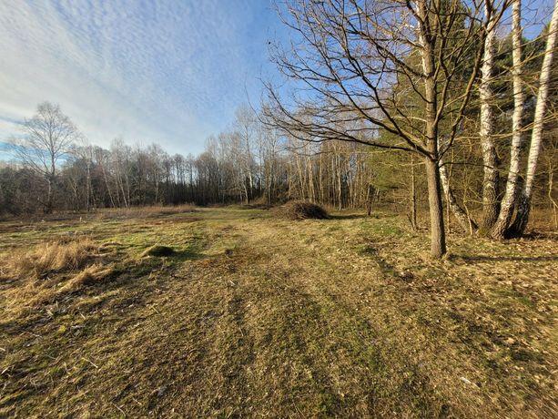 Na sprzedaż działka na Białołęce rolna w studium pod zabudowę mieszk