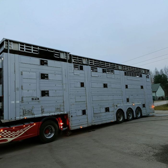 Pezzaioli SBA63  Naczepa Przyczepa Pezzaioli Cattle-Cruiser Hals+Tiefbett Tup2 3 osie