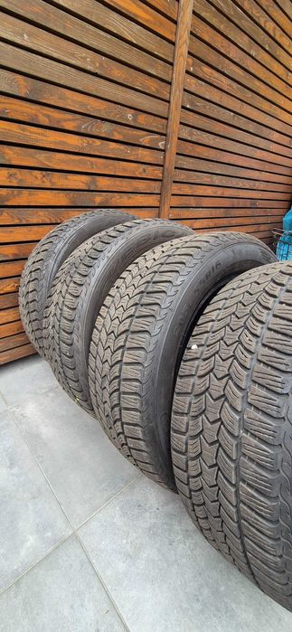 205/55 R16 Dębica Frigo HP2 zimowe