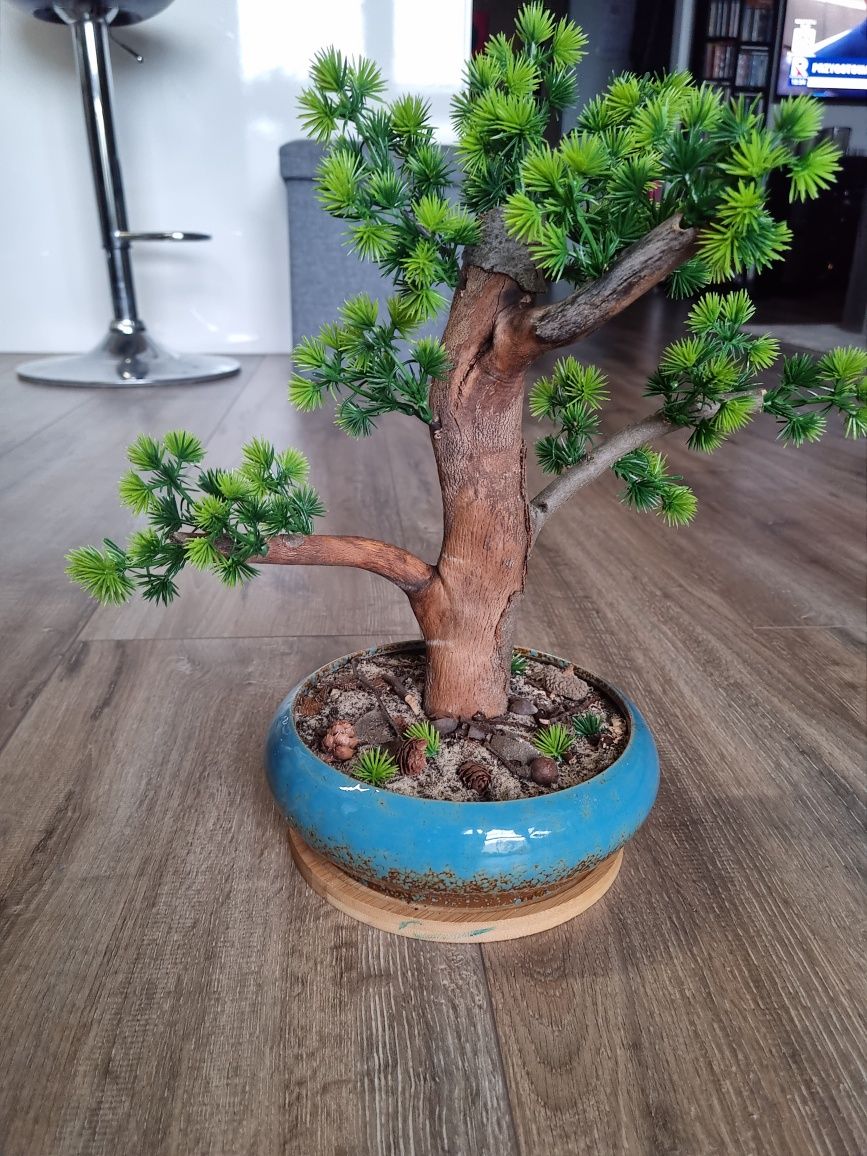 Drzewko   bonsai