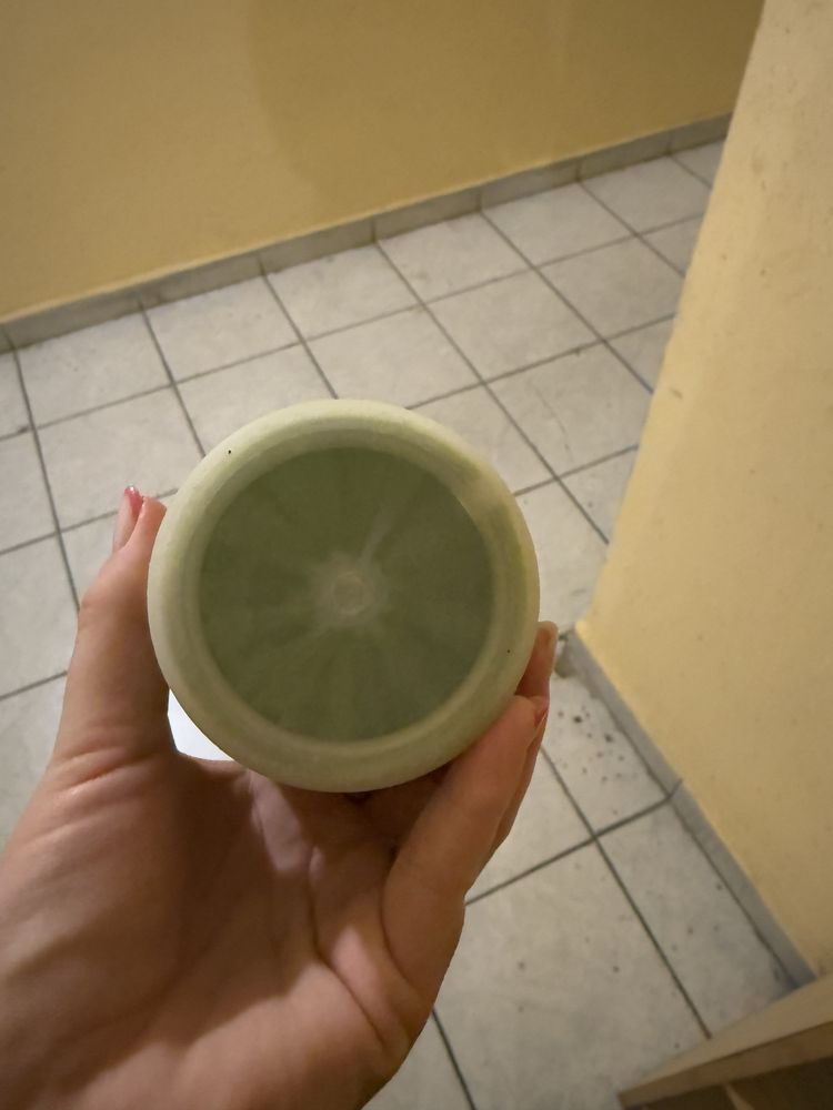 Czyścik do psich łap