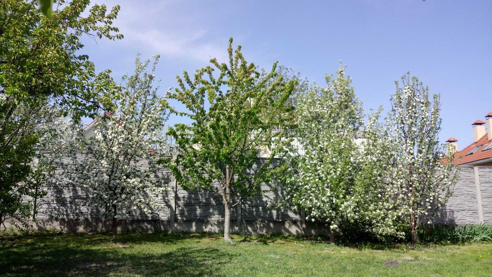 Продам будинок в Глевасі (НЕ дачний масив),від власника,Васильків,Торг