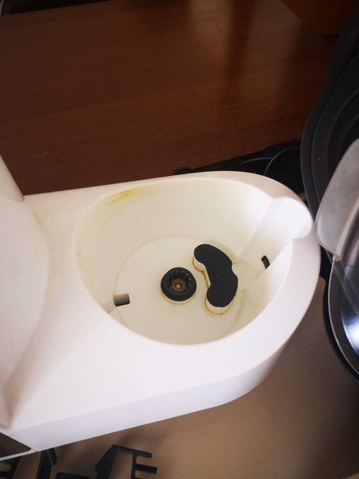 Yammi completa e a trabalhar